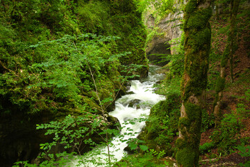 Gorges de la Langouette im französischen Jura