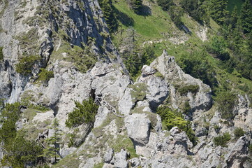 Spannende Grat-Wanderung Oberammergau: Zahn/Sonnenberg/Pürschling