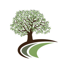 Obraz premium oak tree