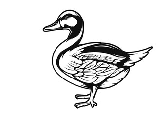 Duck logo on white background. Hunting emblem of duck. 