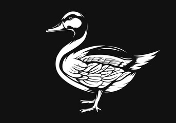 Duck logo on white background. Hunting emblem of duck. 