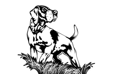 Hunting dog silhouette for retro logos, emblems, badges, labels template vintage design element.
