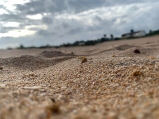 sand