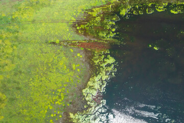 natural background lake swamp in the steppe fragment. green beach and water, abstract fragment nature aerial reflection of the sun