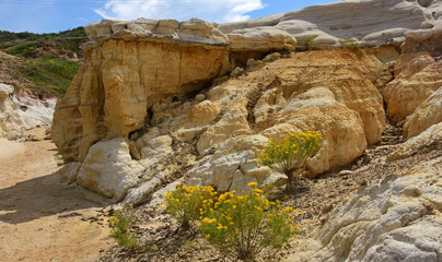 yellow wildflowers and lthe fantastically-colored and eroded yellow and white hoodoos of paint mines, near calhan, el paso county, colorado