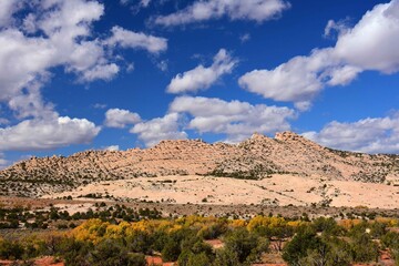 changing cottowood trees  and eroded rock formations on  sunny fall day along  butler wash road...