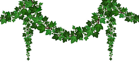 Green ivy garland, Hanging ivy leaves, climbing foliage, decorative frame border element. Isolated on white background. Vector illustration
