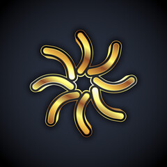 Gold Black hole icon isolated on black background. Space hole. Collapsar. Vector