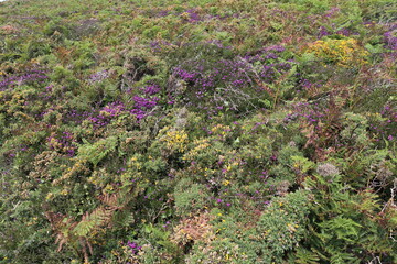 Landscape, Brittany, France, Destination
