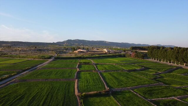 vuelo de drone sobre arrozales de calasparra en ,Murcia, Espa&ntilde;a