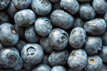 blueberries in a bowl