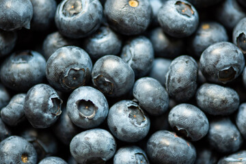 blueberries in a bowl