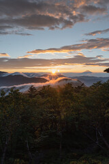 rise of golden daylight