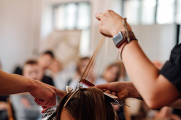 Airtouch technique. Master class for hairdressers. Hair stylist holds a lock of hair