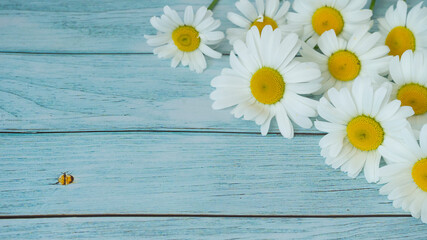 Bouquet of daisies on a wooden background. Image with selective focus