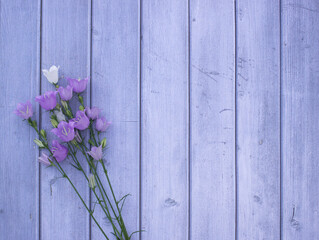 Delicate bouquet of wildflowers. Violet and white bell flowers are on green background. The concept of summer, spring, Mother's Day, March 8, Easter, wedding. Greeting card. Top view. Copy space