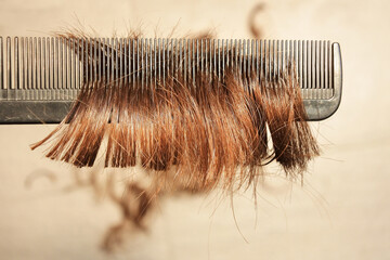 Close up of trimmed hair left on a hairdresser comb.