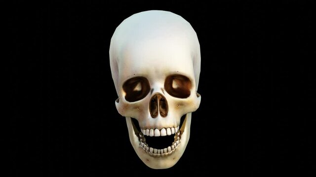 human skull, black background, 3d render