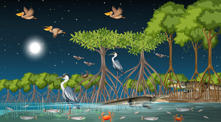 Mangrove forest landscape scene at night with many different animals