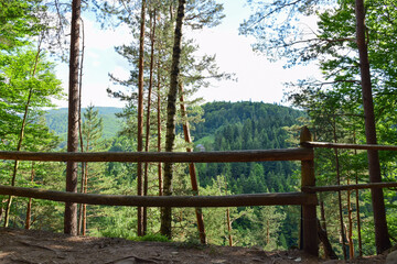 Fototapeta na wymiar A railing of logs over a cliff overgrown with trees. Behind them is a valley between the mountains, the photo was taken in the summer.