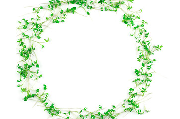 Watercress microgreens on white background, isolate. Microgreen circle with place for text. Vegan and healthy food concept
