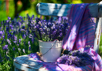 White vase with lavender bouquet on vintage chair, on lavender field background