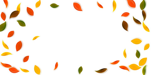 Falling autumn leaves. Red, yellow, green, brown n