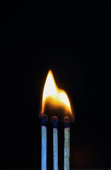 Group of a red match burning isolated with the background. Row burning matchstick in the chain reaction. Matchstick art photography.