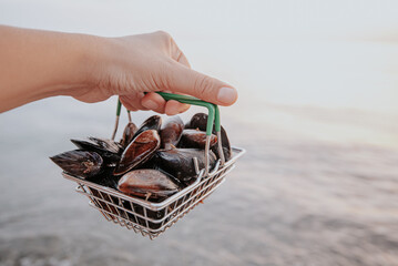 a hand holds a certain amount of fresh raw mussels in a consumer basket on the seashore