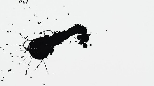 Black paint in a thin stream flows down onto the white surface, forming a spreading stain and splashes. Close up of a black blot on a white background. Drops ink. Spilling paint. Slow motion.