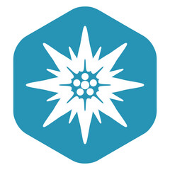 The edelweiss icon. A high-altitude alpine flower, a symbol of Bavaria and Austria. A white silhouette on a blue hexagon. Vector illustration isolated on a white background for design and web.