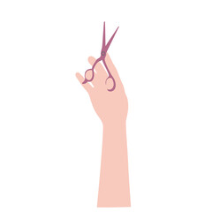 Scissors in the hand of a hair stylist. The hairdresser holds the tool. A color image on a white background.