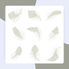 Fototapeta na wymiar White bird wing feather decorative icons set isolated vector illustration
