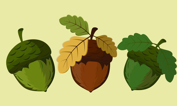 Acorn vector, acorn colored icons isolated on yellow background