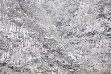 춘천의 겨울 모습