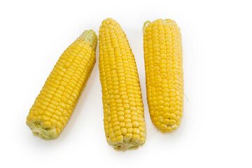 Raw ears of the sweet young corn on white background