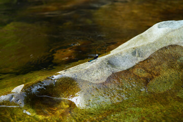 Sky Blue dragonfly perched on Big rocks in the waterfall area with clean water around the rock