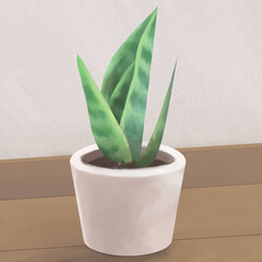 It is an illustration of a potted foliage plant.Indoor scenery.