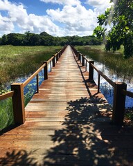 Obraz premium wooden bridge in the forest