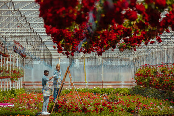 Two florists working with flowers in a greenhouse