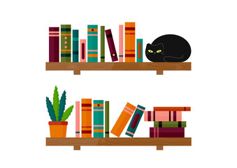 Books on shelf with black cat and aloe pot. Cat sitting on bookshelf. Vector illustration. © Anastasia