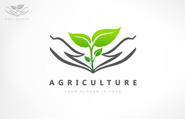 The plant in the hands logo. Caring for nature. Logo of agriculture.