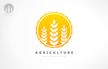 Wheat logo vector. Agriculture design.