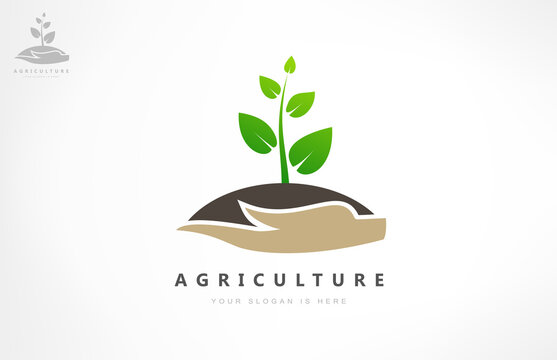 The plant in the hands logo. Caring for nature. Logo of agriculture.