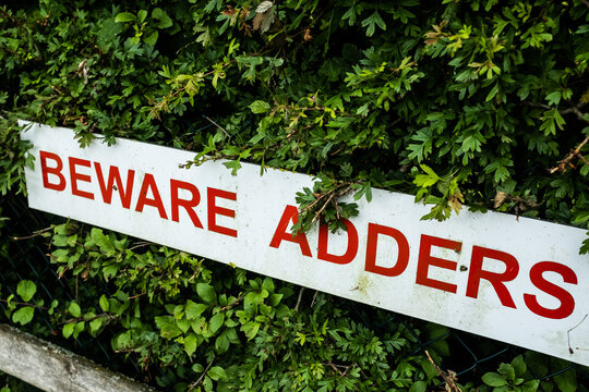 Warning Sign for Adder Snakes in British Countryside near Bristol, England
