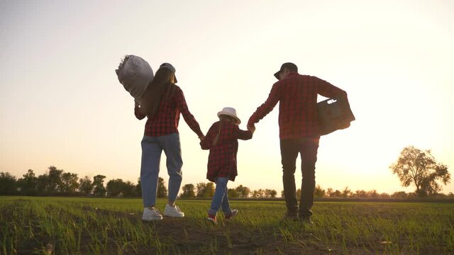 Farmer and happy family. Senior farmer in wheat field with box of vegetables. Happy family in field at sunset. Senior farmer with his family is harvesting. Happy family hiking. Farmer checks the crop