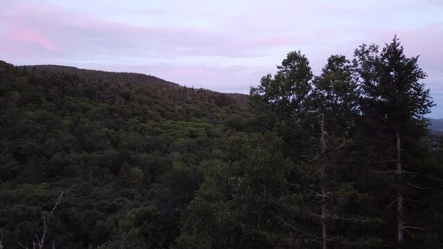Paysage d'une montagne dans la forêt au coucher de soleil