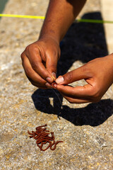 Hands of a black man catches worms to fish