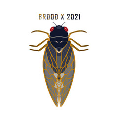 Hand painted cicada illustration