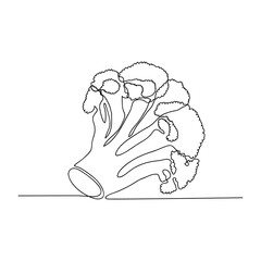 Continuous line drawing of broccoli. Fresh and healthy food concept. One-line drawing vector illustration isolated on white